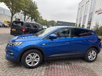 Opel Grandland X 1.2 Turbo Business Edition picture 3