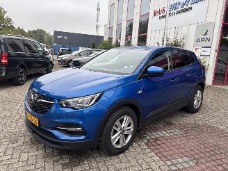 Opel Grandland X 1.2 Turbo Business Edition picture 2