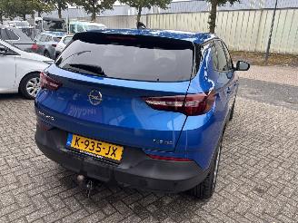 Opel Grandland X 1.2 Turbo Business Edition picture 6