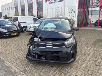 Autoverwertung Kia Picanto Picanto (JA), Hatchback, 2017 1.0 DPI 12V 2024/8