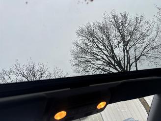 Volkswagen Eos 1.4 TSI 90KW HIGHLINE motorschade picture 12