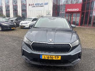  Skoda Enyaq iV 60 2021/8