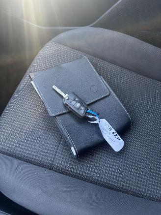 Volkswagen Caddy MODIFIED PARTITION WALL picture 12