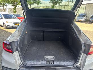 Renault Arkana E-TECH GEEN SCHADE picture 11