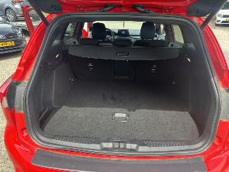 Ford Focus 1.0 ECOBOOST HYB ST LINE X BUSINE picture 11