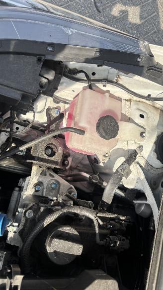 Kia Picanto 1.0 46KW DYNAMICLINE picture 16