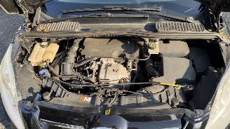 Ford Grand C-Max 1.0 TITANIUM HAGELSCHADE picture 17