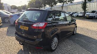 Ford Grand C-Max 1.0 TITANIUM HAGELSCHADE picture 6