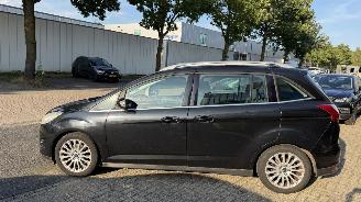Ford Grand C-Max 1.0 TITANIUM HAGELSCHADE picture 3