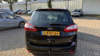 Ford Grand C-Max 1.0 TITANIUM HAGELSCHADE picture 5