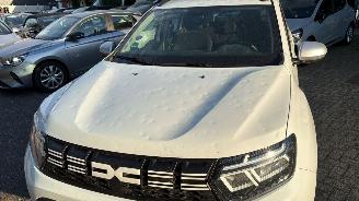 Dacia Duster 1.0 67 KW picture 2