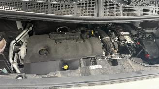 Fiat Scudo 2.0 D. S&S 180 L3 HAGELSCHADE picture 19