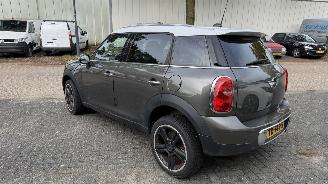 Mini Cooper COUNTRYMAN picture 5