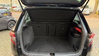 Skoda Karoq 1.5 TSI ACT Business Edition picture 12