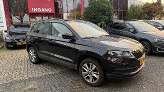 Skoda Karoq 1.5 TSI ACT Business Edition picture 9