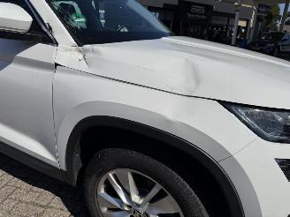 Skoda Kodiaq 1.5 TSi 150 Pk DSG.  7 Persoons Pano picture 22