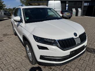 Skoda Kodiaq 1.5 TSi 150 Pk DSG.  7 Persoons Pano picture 5