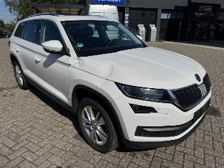 Skoda Kodiaq 1.5 TSi 150 Pk DSG.  7 Persoons Pano picture 6