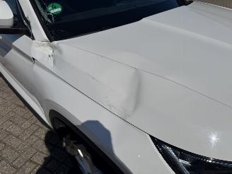 Skoda Kodiaq 1.5 TSi 150 Pk DSG.  7 Persoons Pano picture 20