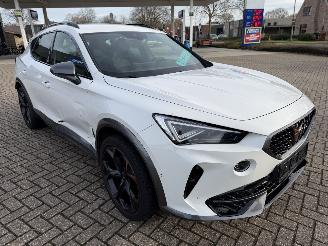 Cupra Formentor 2.0 -180 Kw Automaat VZ picture 6