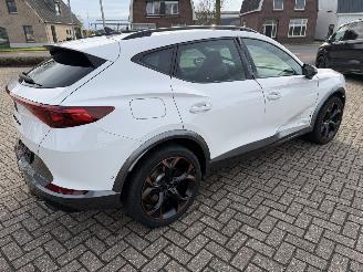 Cupra Formentor 2.0 -180 Kw Automaat VZ picture 12