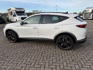 Cupra Formentor 2.0 -180 Kw Automaat VZ picture 20