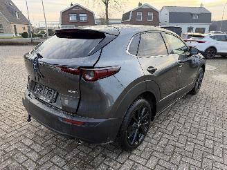 Mazda CX-30 2.5 MHEV 104 Kw Automaat Homura picture 12
