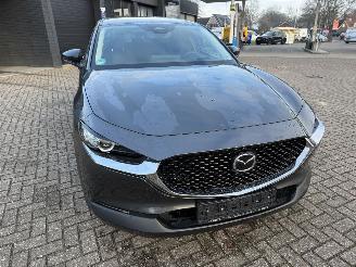 Mazda CX-30 2.5 MHEV 104 Kw Automaat Homura picture 4