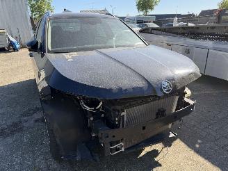 Skoda Kamiq 1.0-81 Kw DSG picture 2