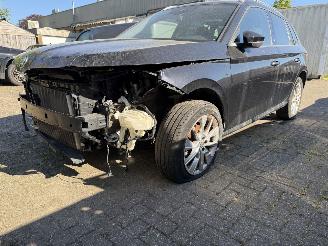 Skoda Kamiq 1.0-81 Kw DSG picture 6