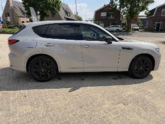 Mazda CX-60 2.5 PHEV  Homura AWD picture 10