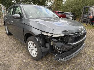 Skoda Kamiq Business picture 21