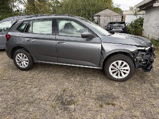 Skoda Kamiq Business picture 24