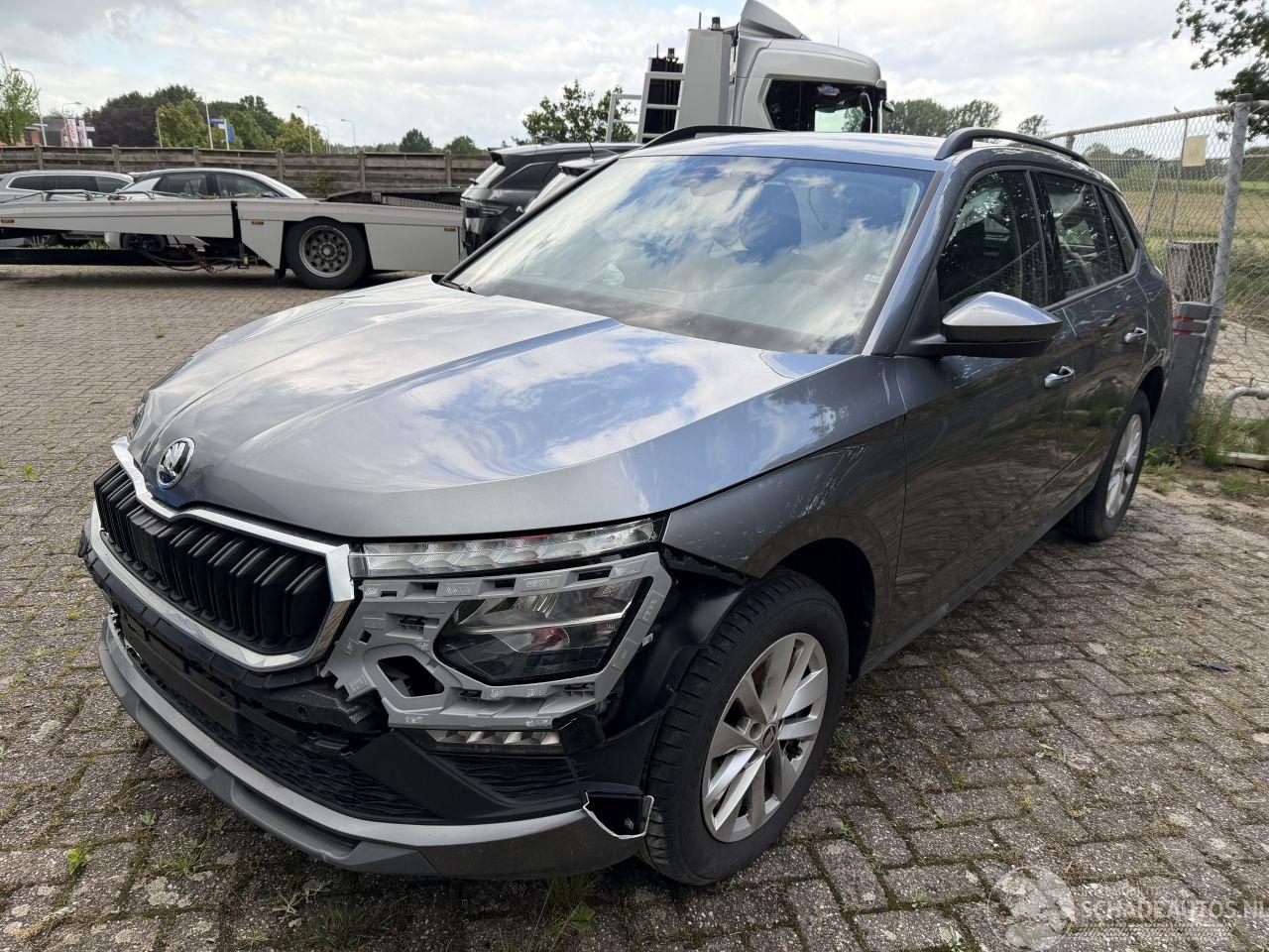 Skoda Kamiq Business