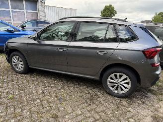 Skoda Kamiq Business picture 11
