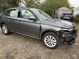 Skoda Kamiq Business picture 23