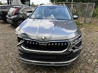 Skoda Kamiq Business picture 3