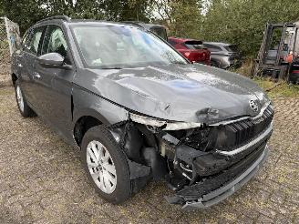 Skoda Kamiq Business picture 19