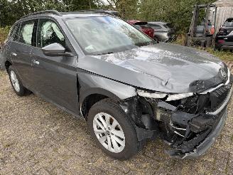 Skoda Kamiq Business picture 22