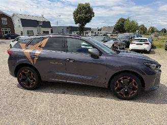 Cupra Terramar 1.5 eTSi 150 Pk automaat picture 19