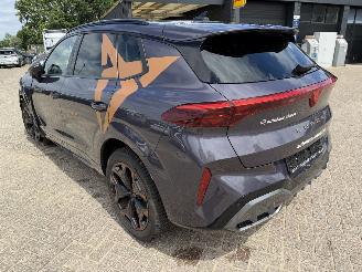 Cupra Terramar 1.5 eTSi 150 Pk automaat picture 13