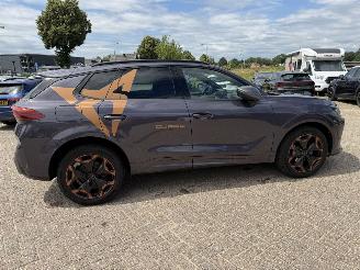 Cupra Terramar 1.5 eTSi 150 Pk automaat picture 17