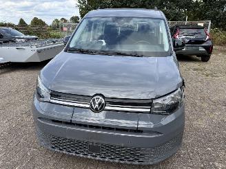 Volkswagen Caddy maxi 1.5 TSi 85 Kw DSG Maxi Rolstoel-uitvoering picture 6