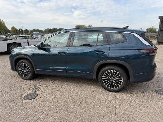 Volkswagen Tayron 1.5 eTSi 150 Pk DSG 7 persoons picture 12