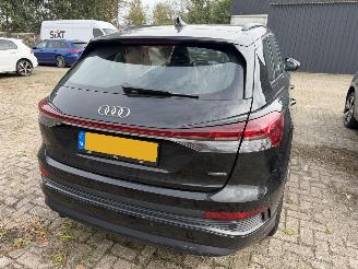 Audi Q4 45 E-Tron  S Edition Performance picture 14