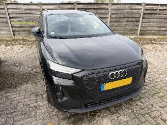 Audi Q4 45 E-Tron  S Edition Performance picture 3