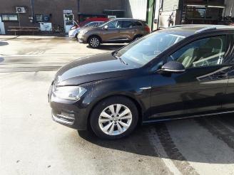 Volkswagen Golf  picture 5