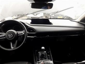 Mazda CX-30 CX-30 (DM), SUV, 2019 2.0 e-SkyActiv X 186 M Hybrid 16V picture 8