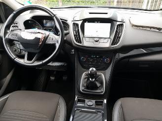 Ford Kuga 2.0 TDCi ST-Line picture 16