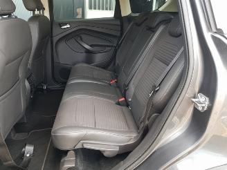 Ford Kuga 2.0 TDCi ST-Line picture 15